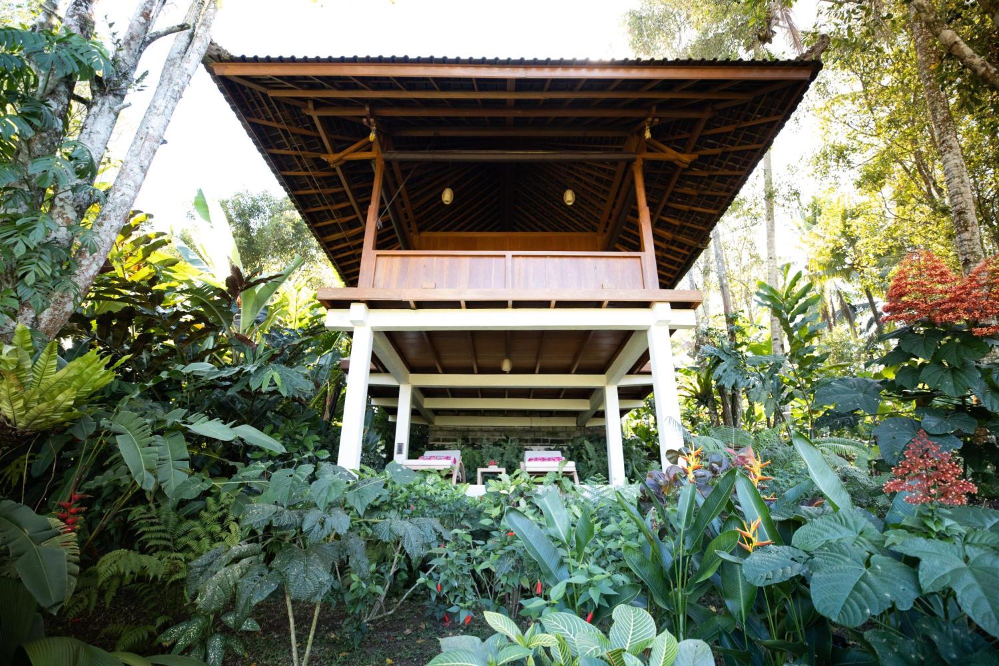 Clove Tree Hill Blimbing  Habitación foto